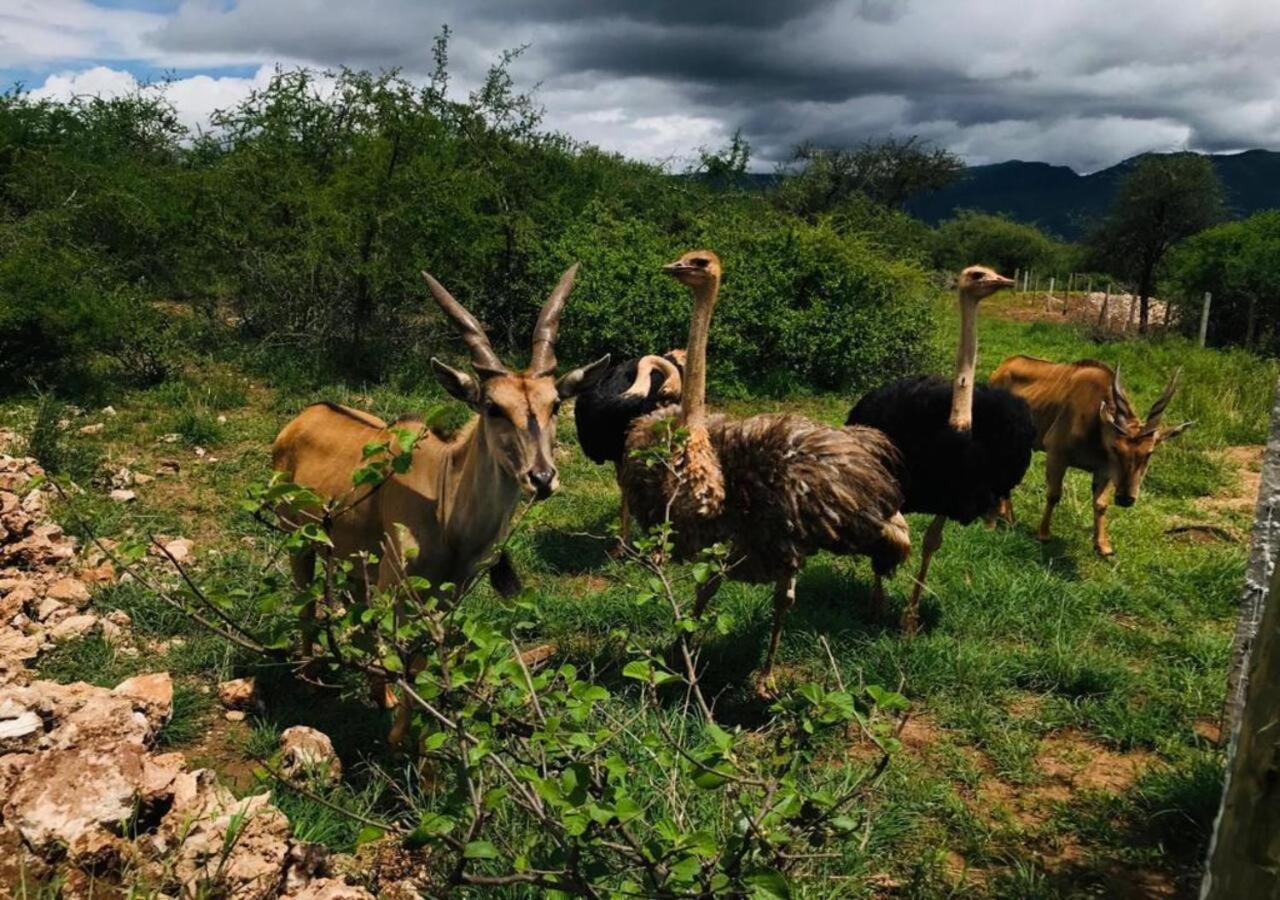 Oldonyo Orok Lodge Kajiado Esterno foto