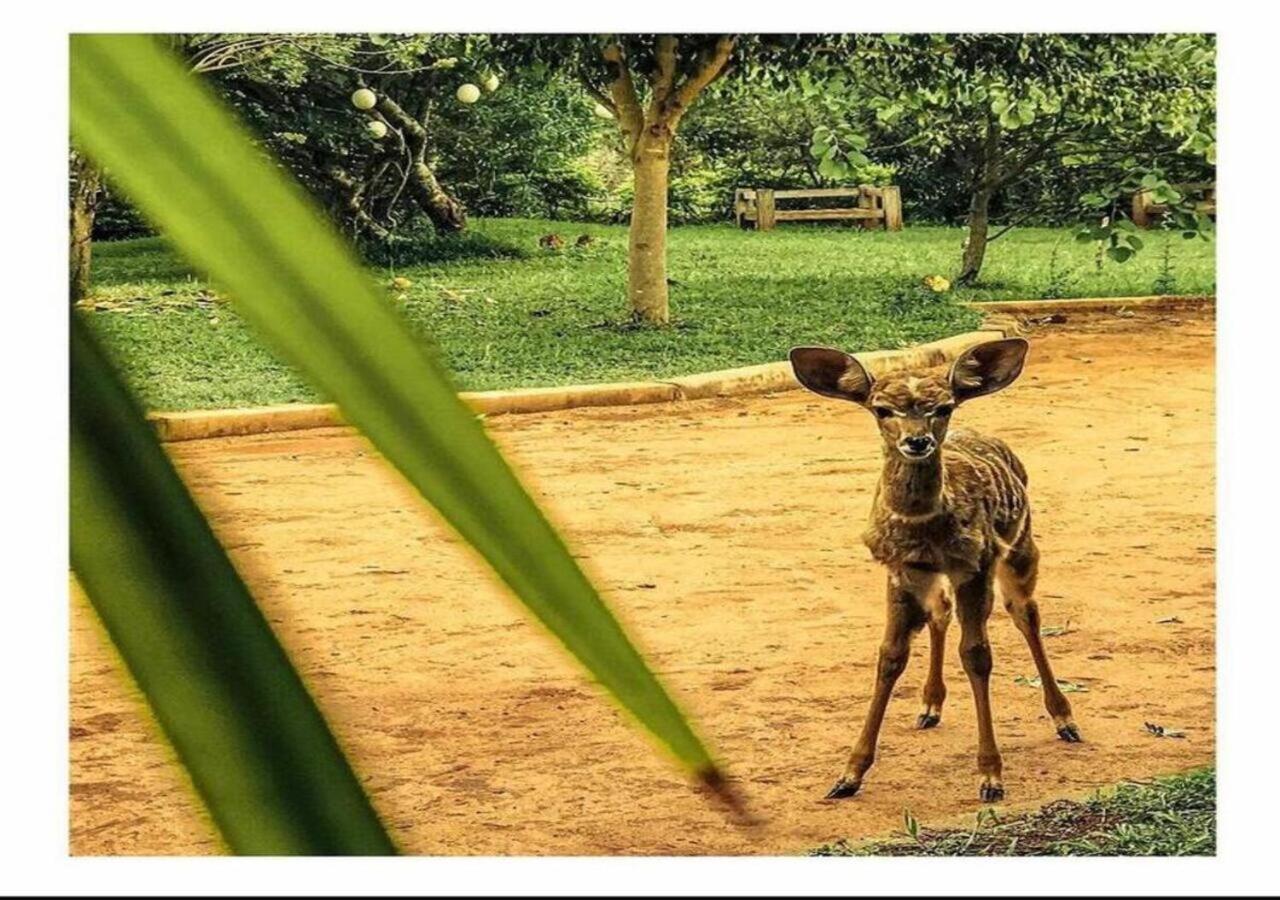 Oldonyo Orok Lodge Kajiado Esterno foto