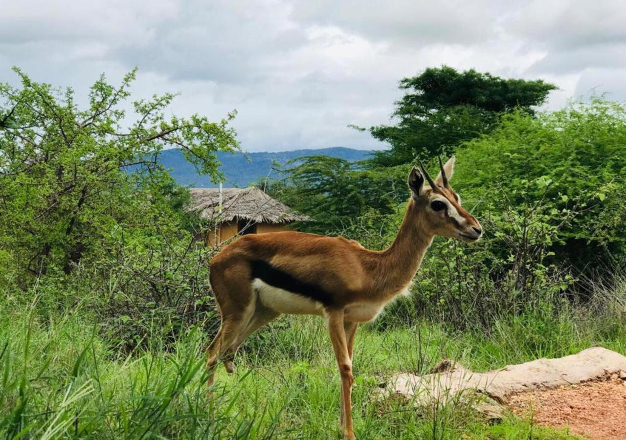 Oldonyo Orok Lodge Kajiado Esterno foto